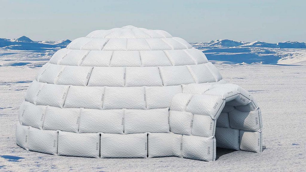 SNOW Brand Pillows